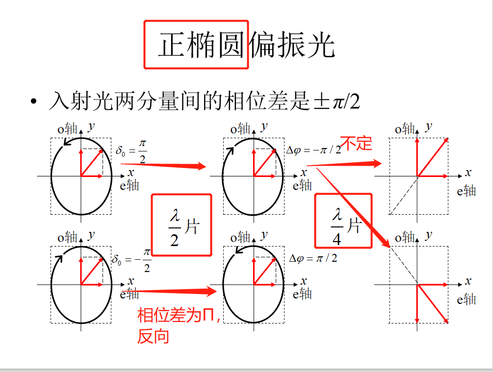 image-20200526153816226