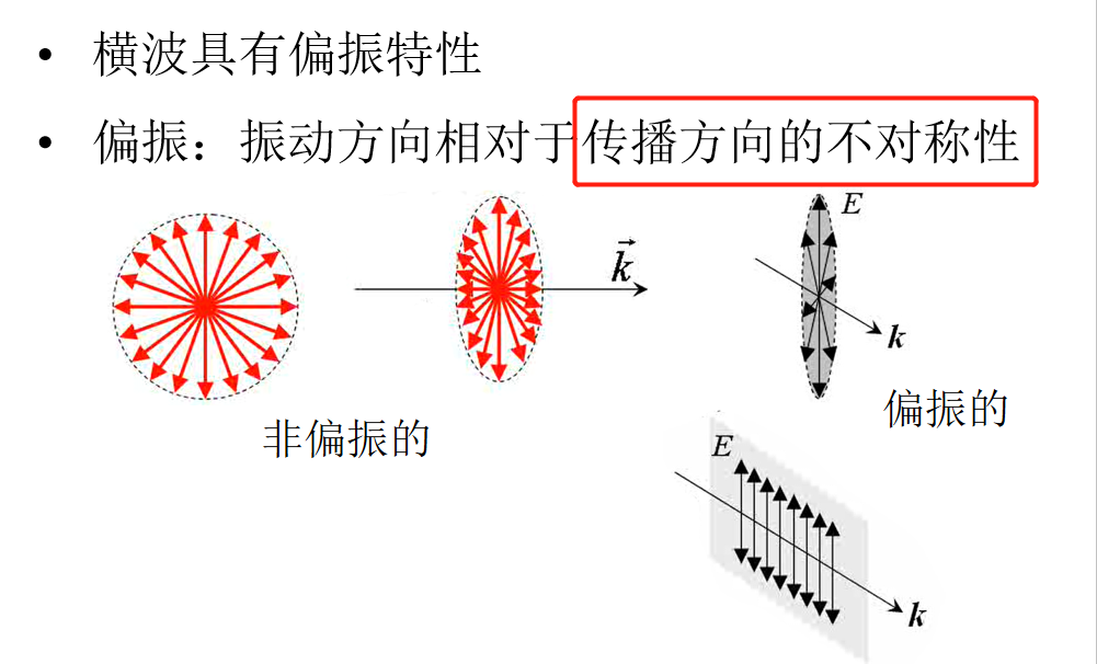 image-20200526190007960