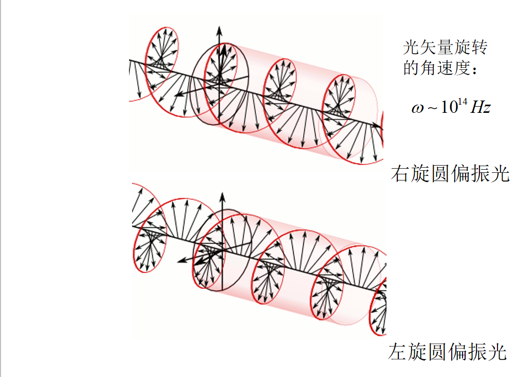 image-20200526192309396