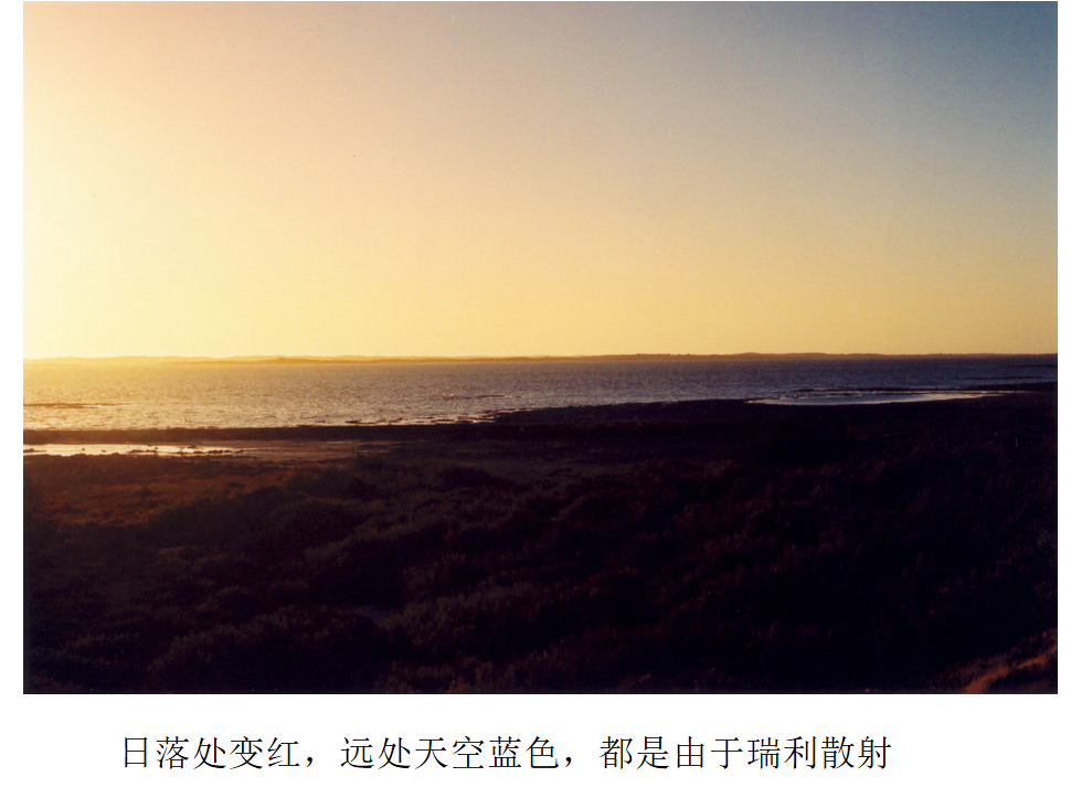 image-20200602150142389