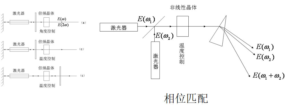 image-20200602150222681