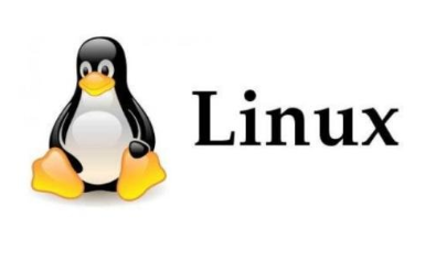 image-20200810233034400