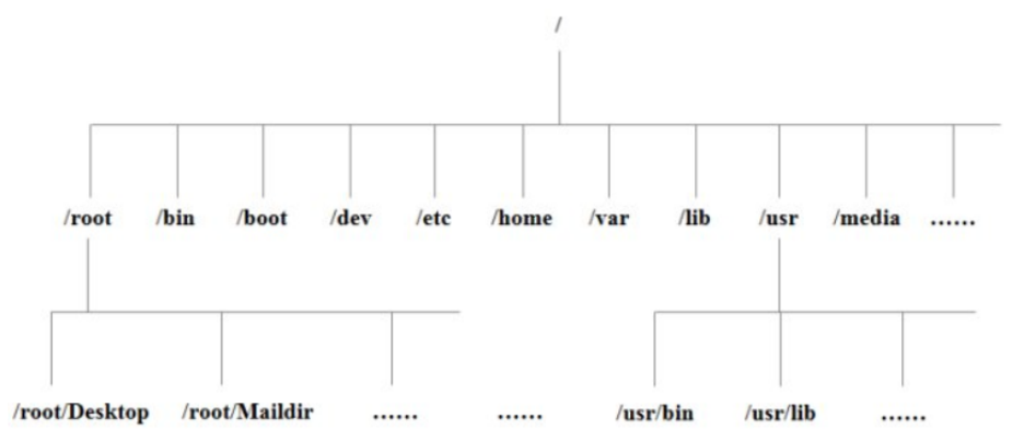 image-20200811160405369