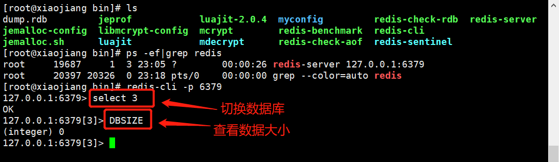 image-20200826232006738