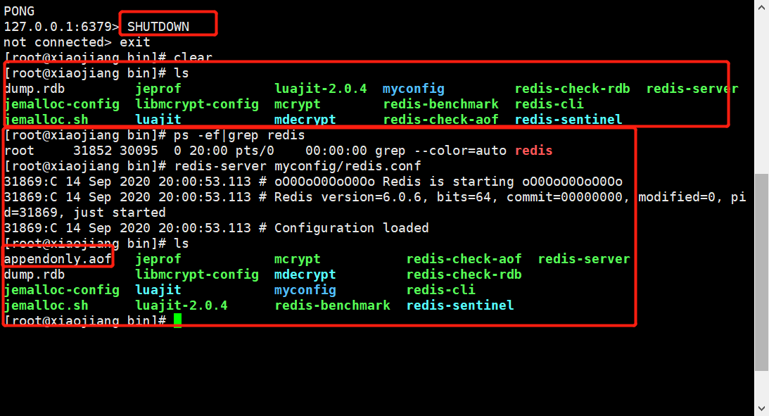image-20200914200152043
