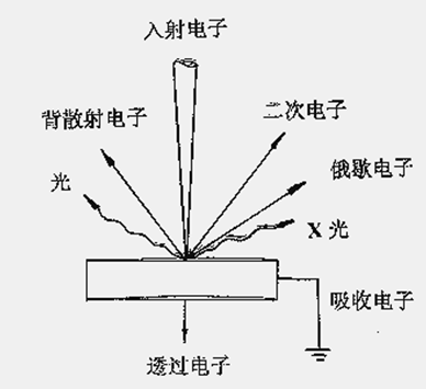 image-20201220155220134