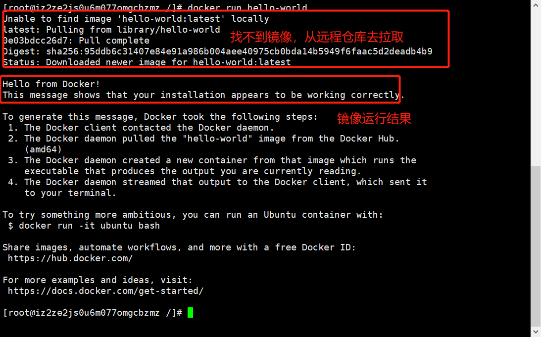 image-20210221113237929