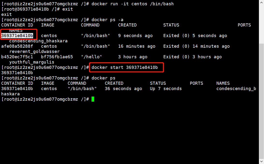 image-20210221144028836