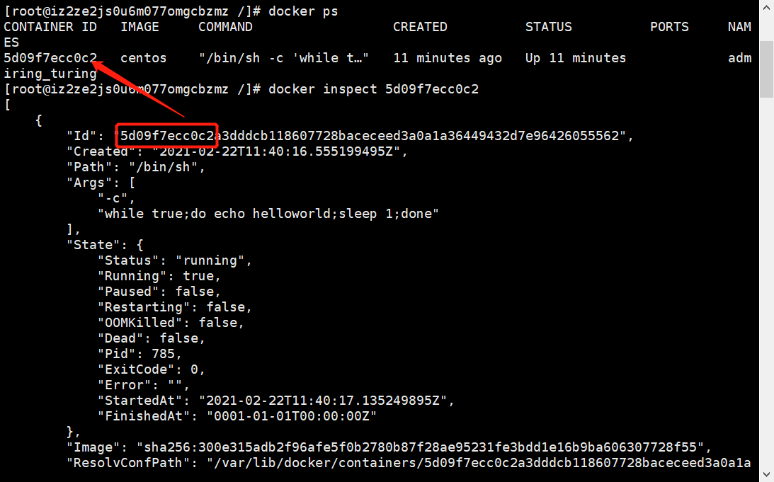 image-20210222195239209
