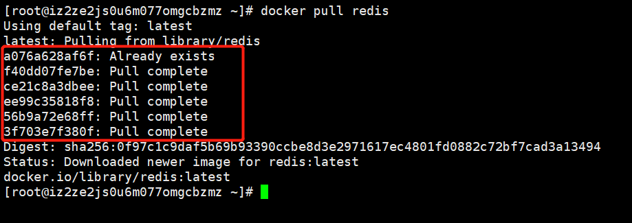 image-20210313095405902