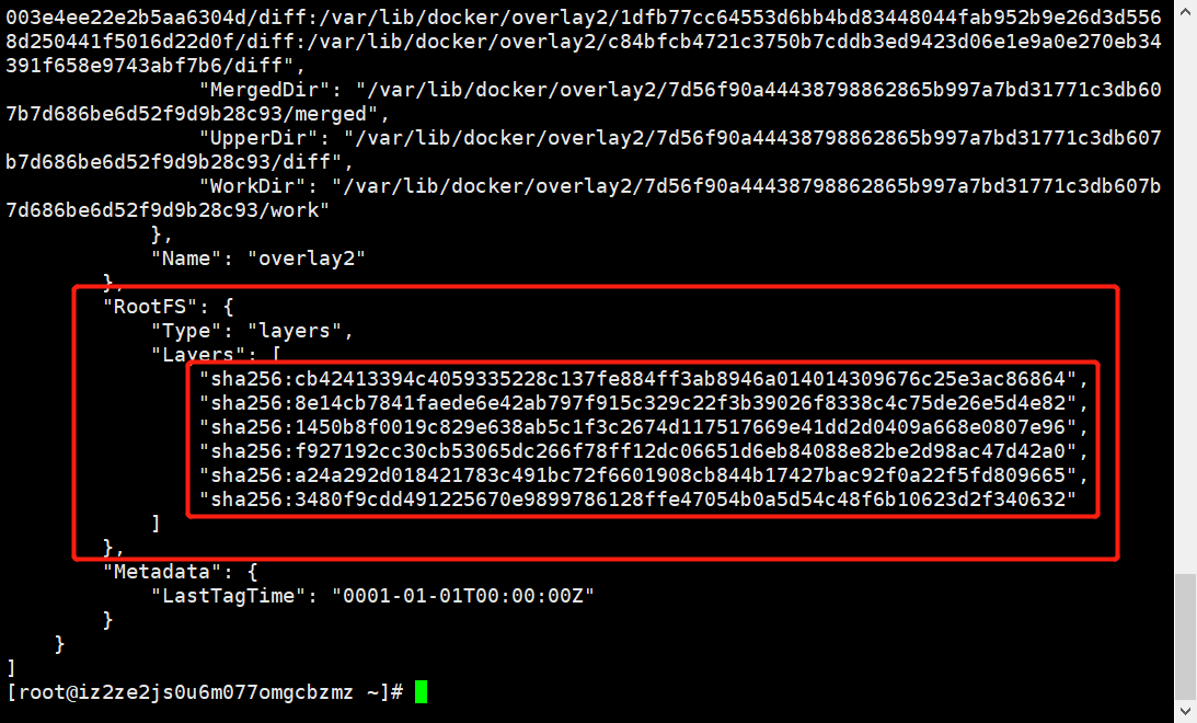 image-20210313095817664