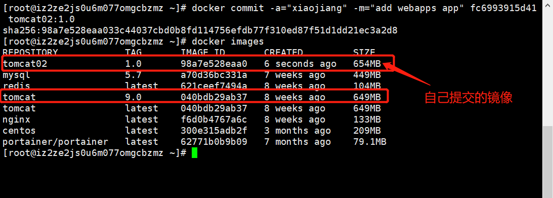 image-20210313104432119