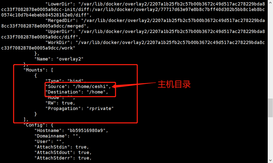 image-20210320163453833