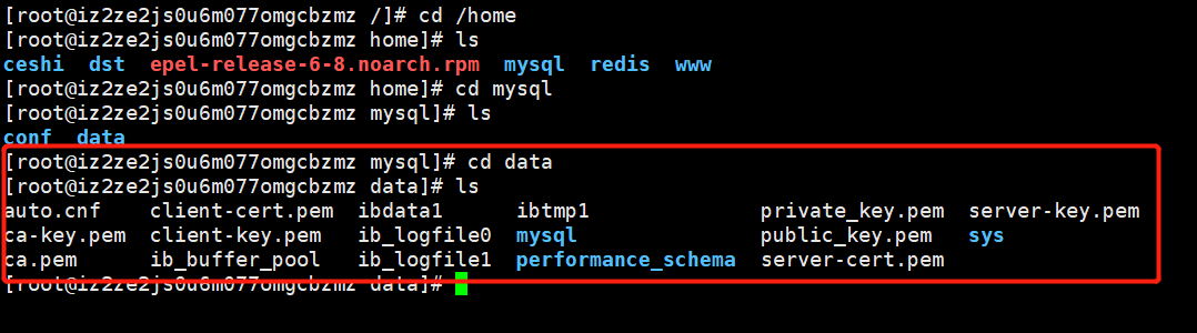 image-20210320171116706
