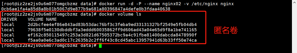image-20210323105853180