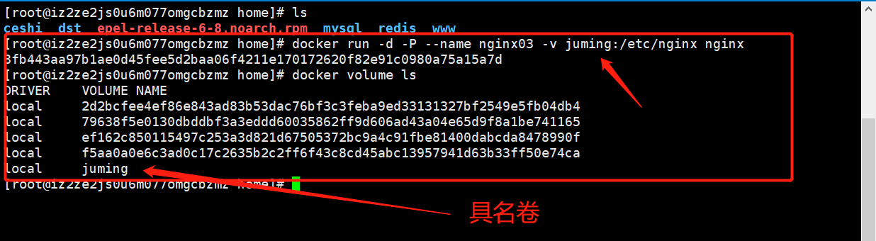 image-20210323110159402
