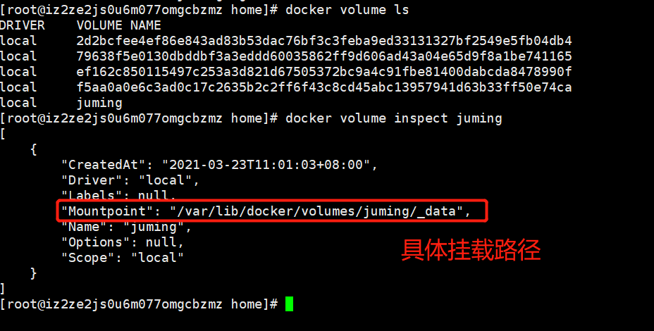 image-20210323110527647