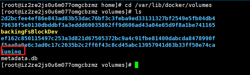 image-20210323110709008