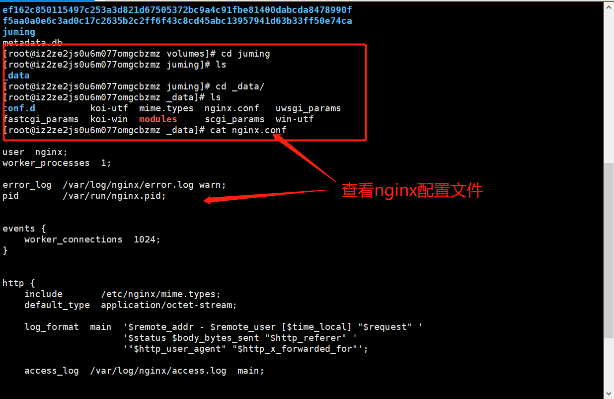 image-20210323110900556