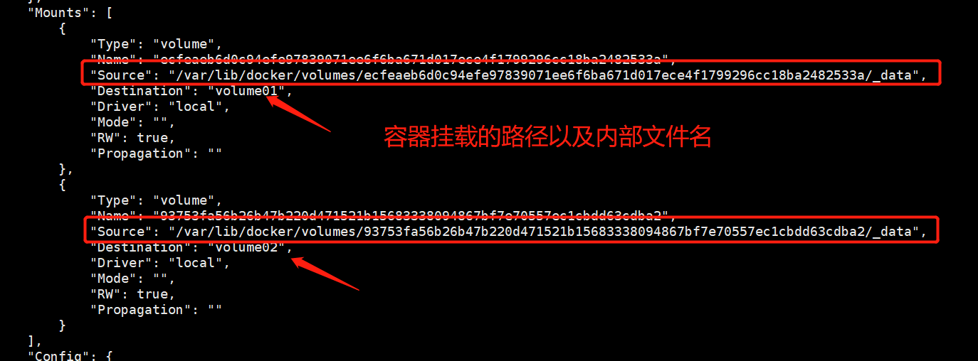 image-20210323125156803