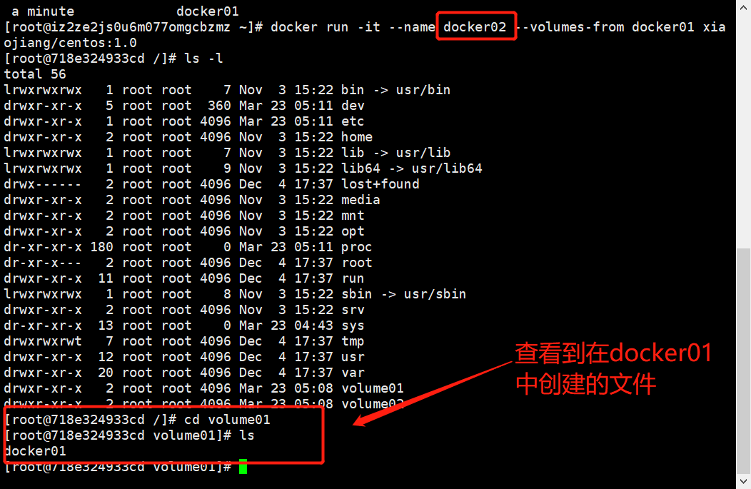 image-20210323131445769