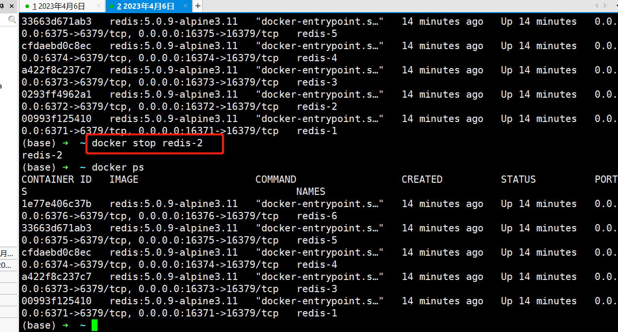 image-20220604213442546