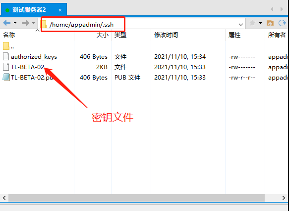 image-20211110153815689